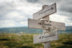 Purpose fuels passion sign